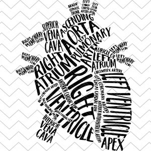 Download Heart Svg Etsy