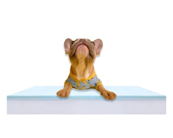 Pet Beds Orthopedic Gel Memory Foam Dog Bed Foam Replacement Insert 3-inch, Dog Bed Foam, Dog Bed Insert