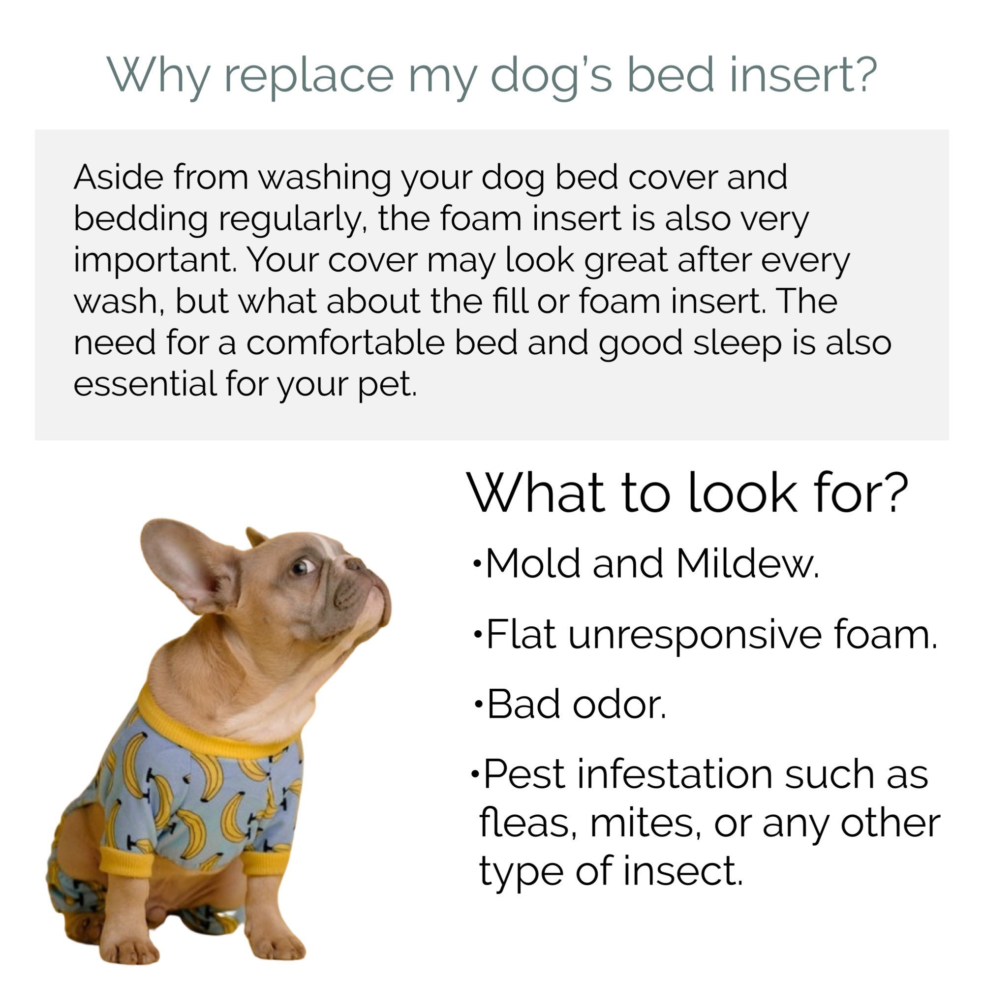 Pet Beds Orthopedic Gel Memory Foam Dog Bed Foam Replacement Etsy