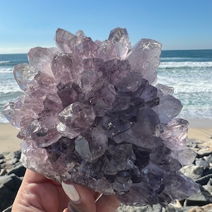 Puede incluir: Un gran cúmulo de cristal de amatista con un tono púrpura profundo. El cristal está formado por muchos puntos individuales que están agrupados. El cristal se está sosteniendo en una mano, y el fondo es una playa.