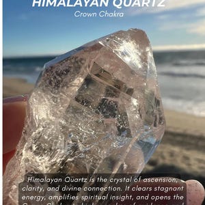 Punta de cristal de cuarzo nirvana del Himalaya transparente: Cuarzo Samadhi / Guía espiritual / Habilidad psíquica / Alta vibración