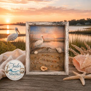 May include: A framed coastal art piece with a pelican scene, seashells, and sand. The artwork is set against a sunset backdrop. A sticker with the text "From Sailor to Sheller" is visible. A large seashell and starfish are also present.