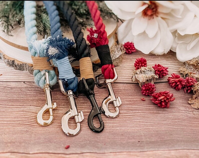 Customizable Dog Leash / Custom Color Dog Leash / Lightweight Etsy