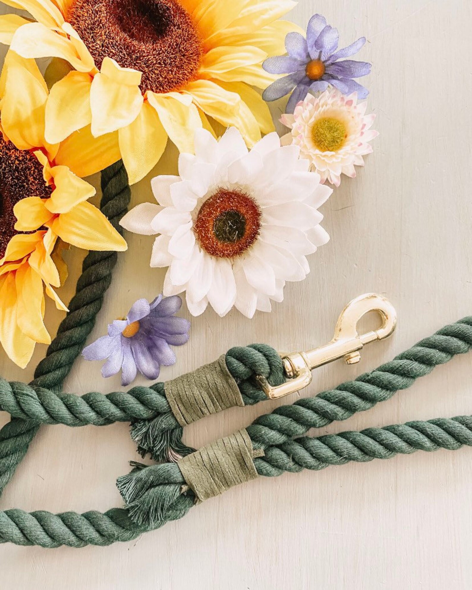 Customizable Dog Leash / Custom Color Dog Leash / Lightweight Etsy