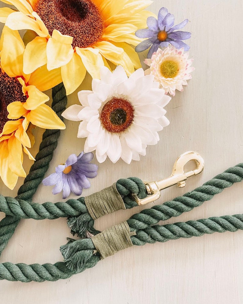 Customizable Dog Leash / Custom Color Dog Leash / Lightweight Etsy