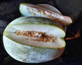 Rare Organic Vegetable Melon Seeds /"Valencia/" Winter Melon Natural 60 seeds.