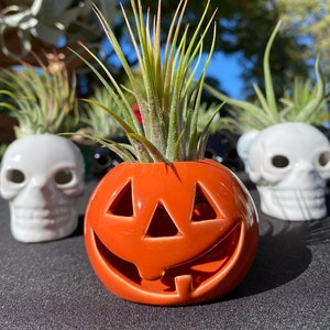 May include: A small orange ceramic pumpkin planter with a carved jack-o'-lantern face. A green air plant is growing inside the planter.