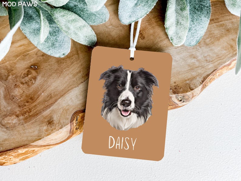 May include: A brown rectangular tag with a white string attached. The tag features a black and white border collie dog illustration with the name "Daisy" printed in white text.