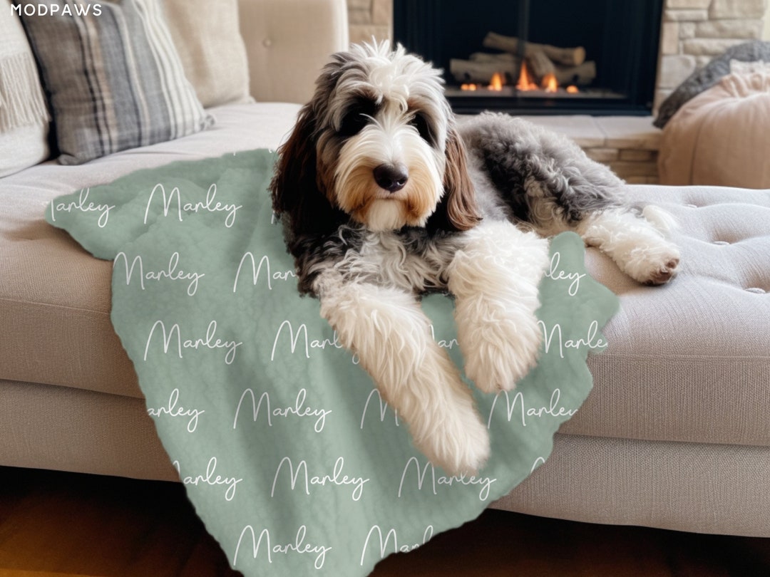Custom Pet Blanket Using Pet Photo Name Custom Dog Blanket Personalized ...