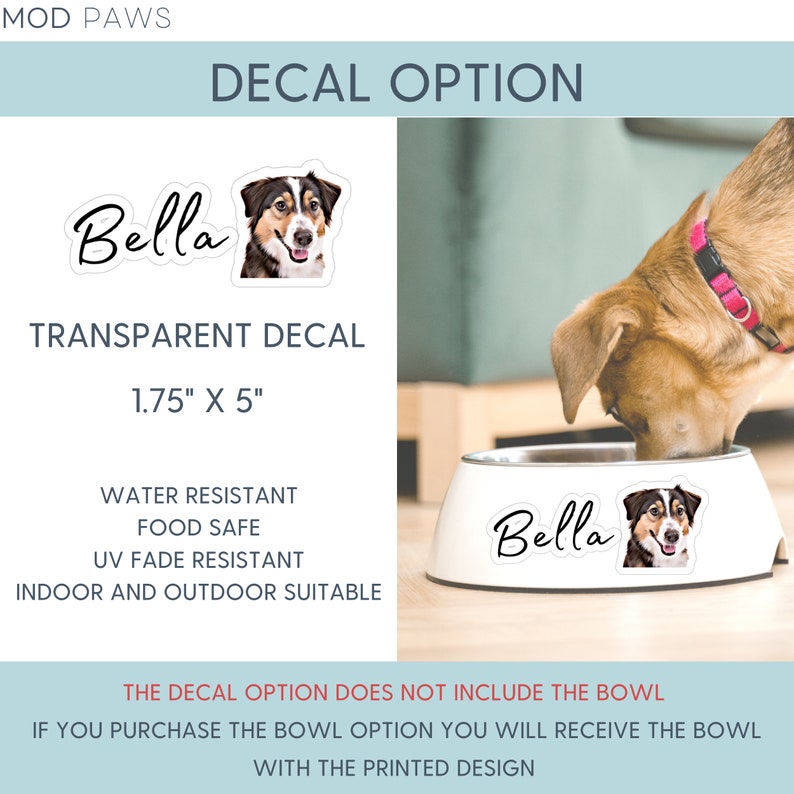 Custom Dog Bowl Using Pet Photo Name Personalized Dog Bowl Personalized Cat Bowl Custom Cat Bowl Personalized Pet Bowls Custom Pet Bowl image 8