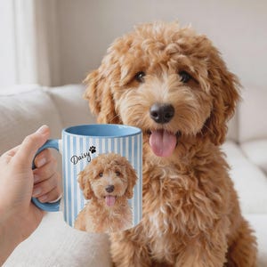 Può includere: Una tazza in ceramica con un motivo a righe verticali azzurre e bianche. La tazza presenta una stampa fotografica di un cane dal pelo riccio color marrone dorato con la lingua di fuori, accompagnata dal nome Daisy e una piccola zampa nera.