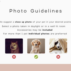 Op de afbeelding: Afbeelding met de tekst "Photo Guidelines" en voorbeelden van foto's van huisdieren. De tekst suggereert een close-up foto bij daglicht of in een goed verlichte kamer. Een golden retriever puppy wordt getoond als voorbeeld van een goede foto.