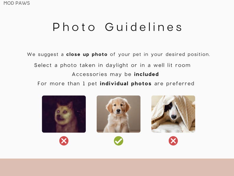 Op de afbeelding: Afbeelding met de tekst "Photo Guidelines" en voorbeelden van foto's van huisdieren. De tekst suggereert een close-up foto bij daglicht of in een goed verlichte kamer. Een golden retriever puppy wordt getoond als voorbeeld van een goede foto.