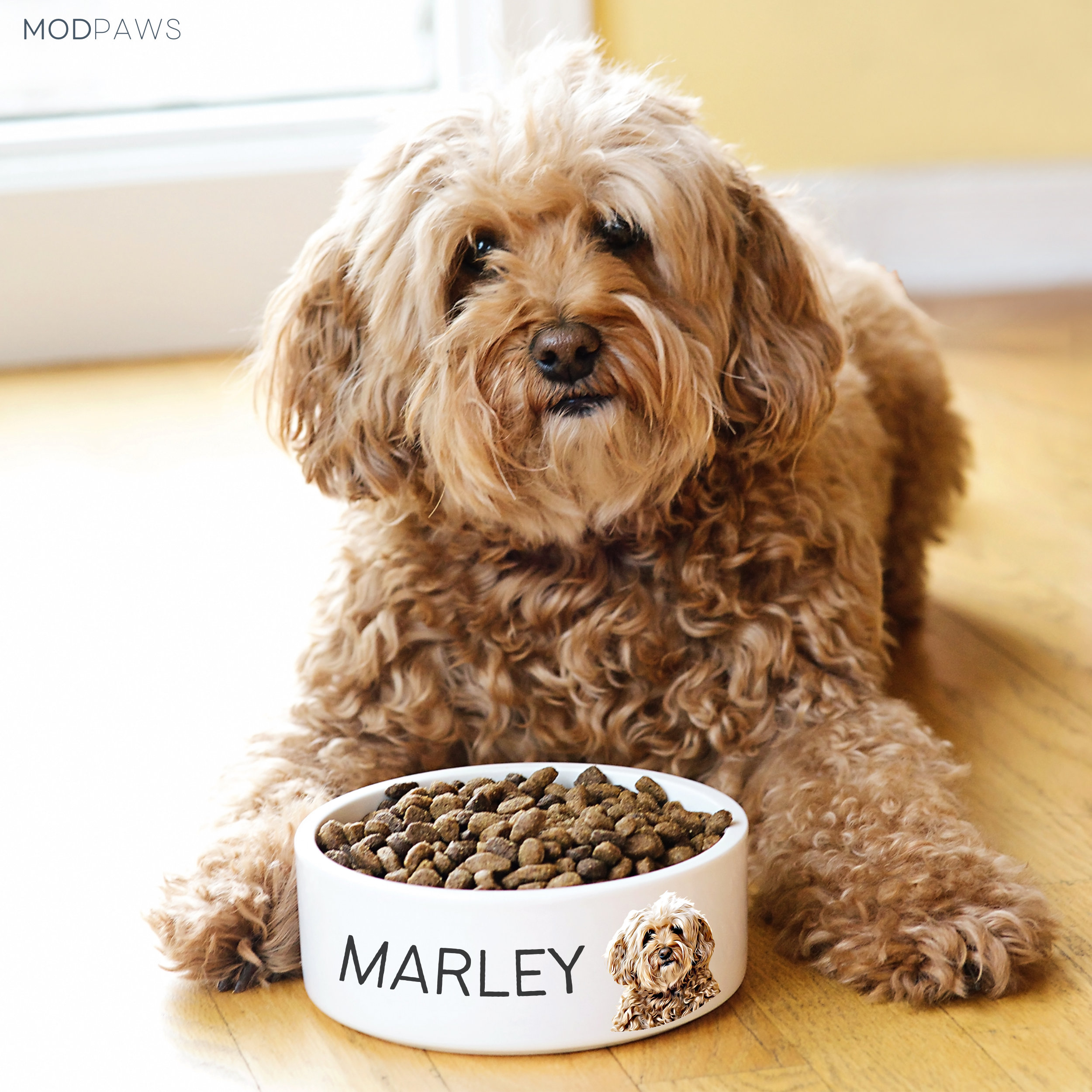 Custom Dog Bowl Using Pet Photo + Name Personalized Dog Bowl Personalized Cat Bowl Custom Cat Bowl Personalized Pet Bowls Custom Pet Bowl