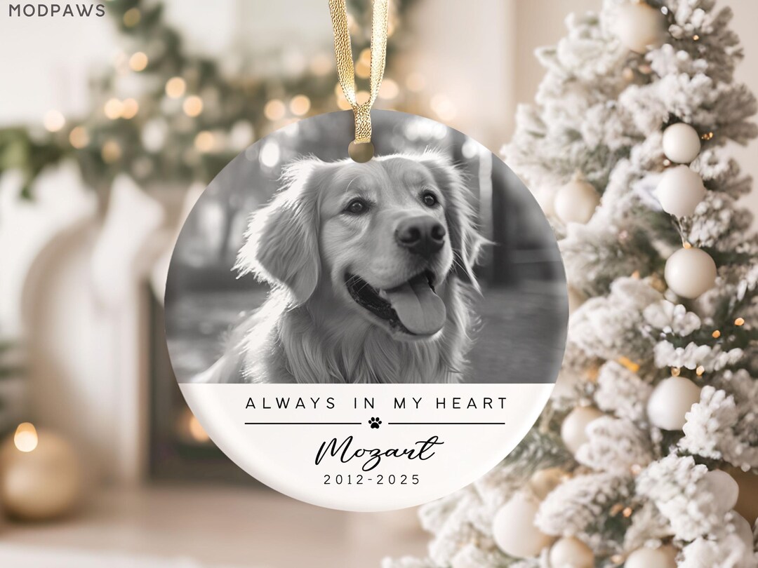Personalized Pet Memorial Ornament Using Pet's Photo + Name - Custom ...