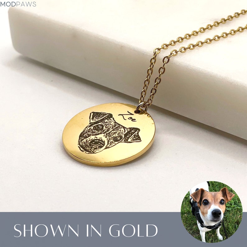Custom Pet Necklace Using Pet Photo Name Custom Cat Necklace Etsy UK