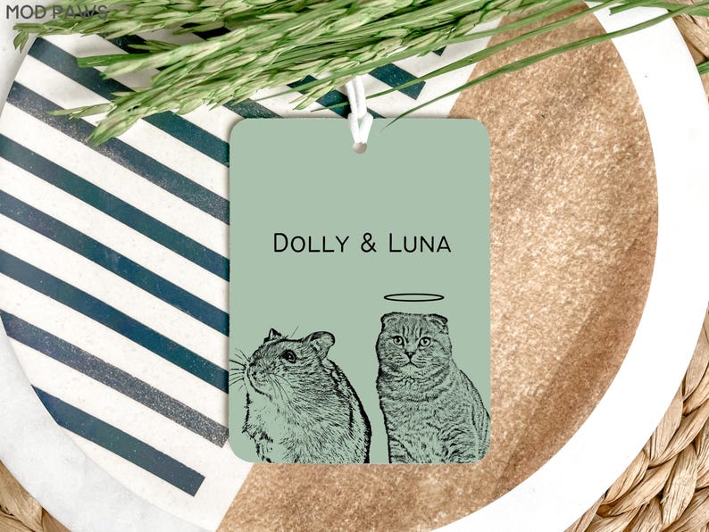 May include: A light green car air freshener with a black and white illustration of a cat and a hamster. The text "DOLLY & LUNA" is printed on the air freshener.