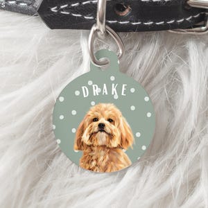 Custom Dog Tags Using Pet Photo + Name Pet ID Tags Name Cat Tag Pet ID Tags Personalized Dog Tags Cat ID Tags Dog Tags for Collars Cat Tag