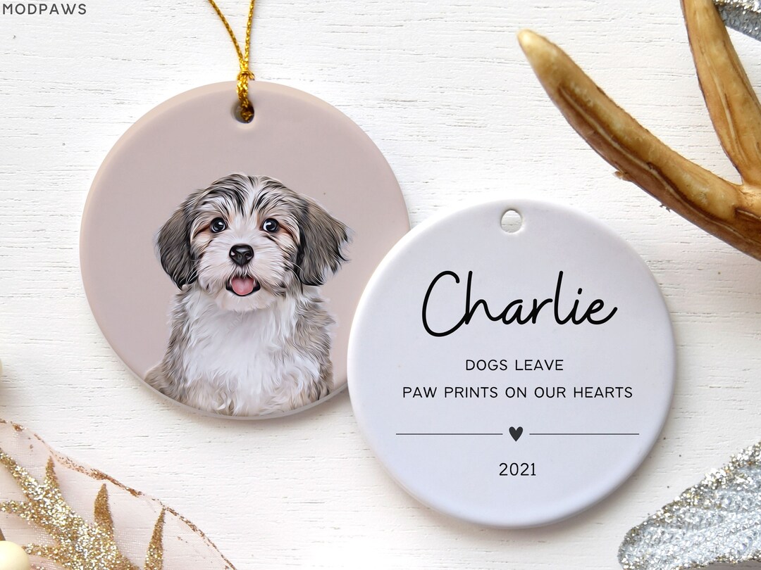 Personalized Pet Ornament Using Pet's Photo + Name - Custom Ornament ...