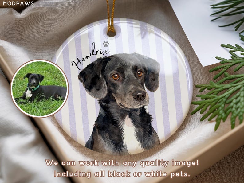 Pode incluir: Enfeite de cer&acirc;mica redondo com um retrato de um c&atilde;o preto e branco chamado Hendrix, em um fundo de listras lavanda e brancas. Uma foto menor do c&atilde;o est&aacute; em uma moldura circular. O enfeite tem uma corda dourada para pendurar.
