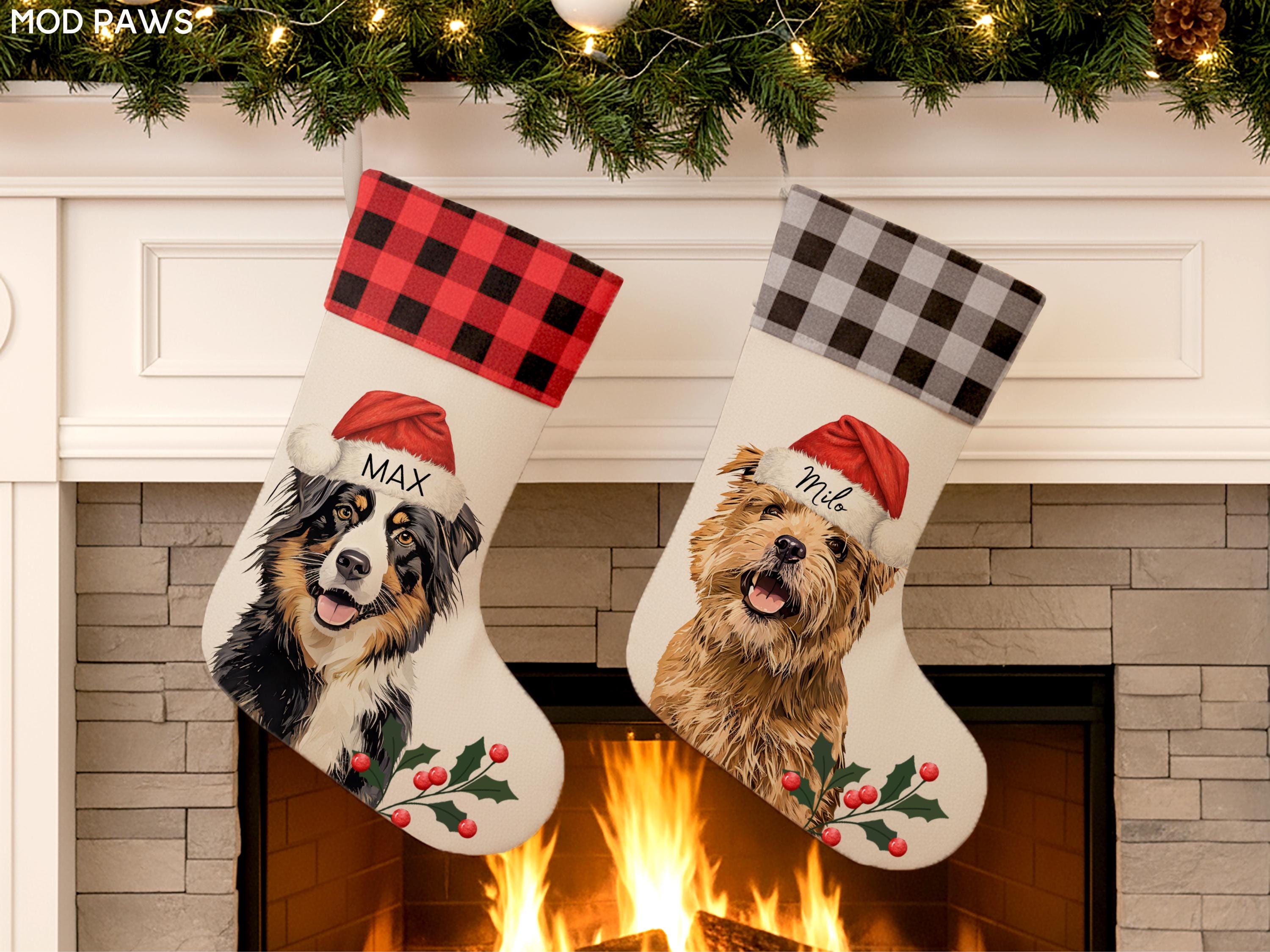 Dog Stocking