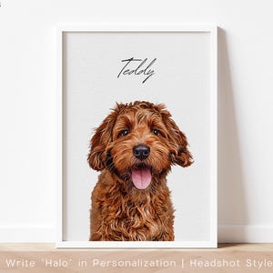 May include: A framed portrait of a dog with a fluffy, reddish-brown coat. The dog has its mouth open, tongue out, and the name "Teddy" is written above. The artwork is displayed in a white frame against a white background.