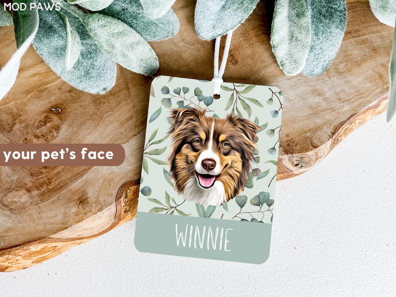 Peut inclure: Un diffuseur de parfum de voiture vert clair avec un motif floral et une illustration de chien australien berger brun et blanc. Le texte "WINNIE" est imprim&eacute; au bas du diffuseur.