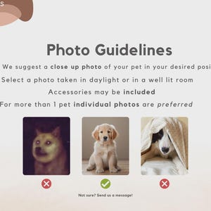 Custom Pet Toy Box Using Pet Photo Personalized Toy Box for Dog Toys Personalized Cat Toy Basket Custom Dog Toy Bin Cat Toy Storage Basket image 10