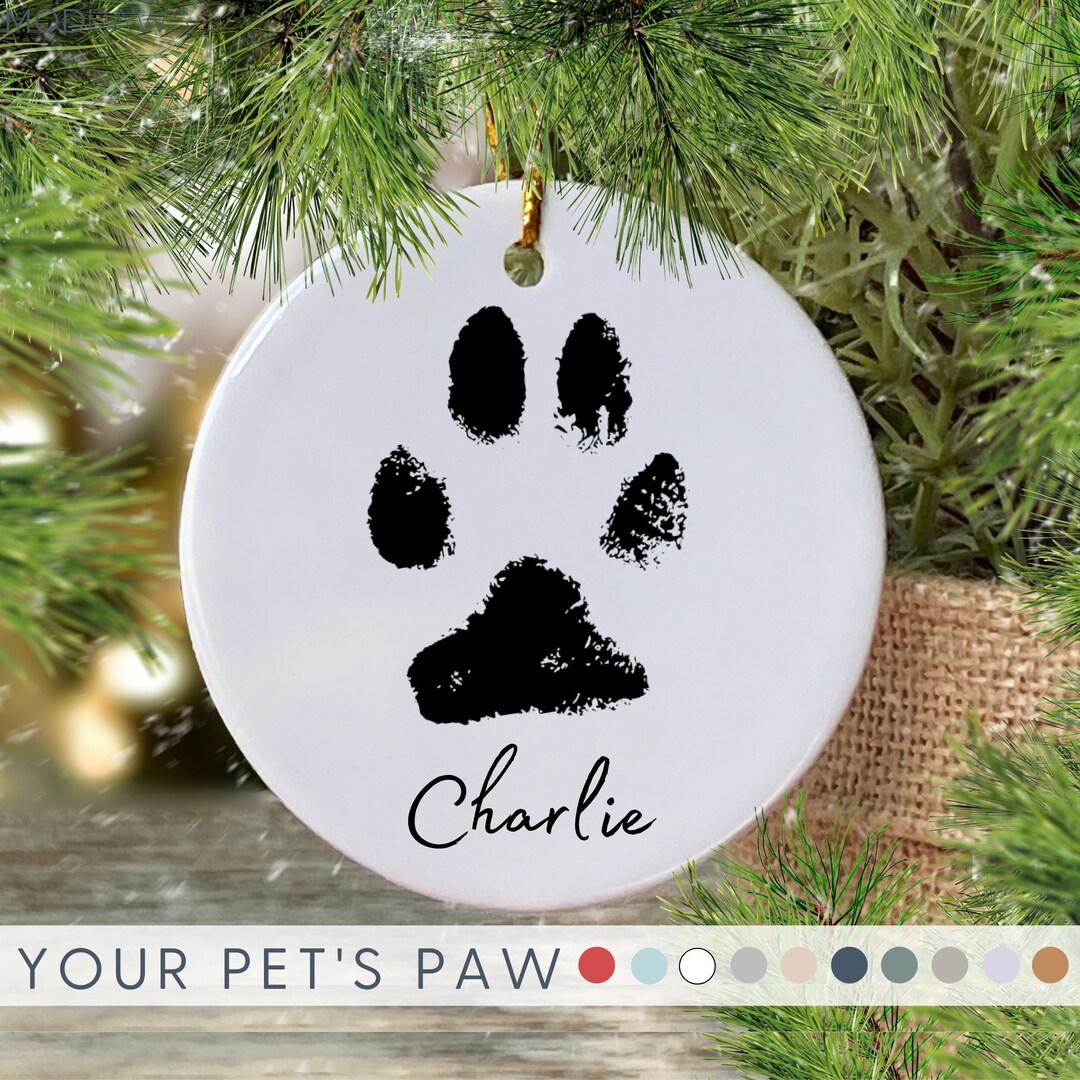 Personalized Pet Ornament Using Pet's Photo + Name Custom Cat Ornament ...