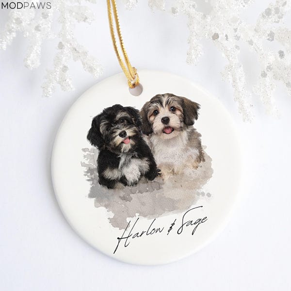 Gepersonaliseerd aquarel kerstornament voor huisdieren met foto en naam van het huisdier - Kerstornament voor honden, gepersonaliseerd hondenornament