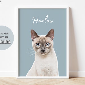 Custom Pet Portraits Using Pet Photo Personalized Digital Dog Portraits Cat Portraits Custom Dog Portraits Custom Pet Art Pet Drawing