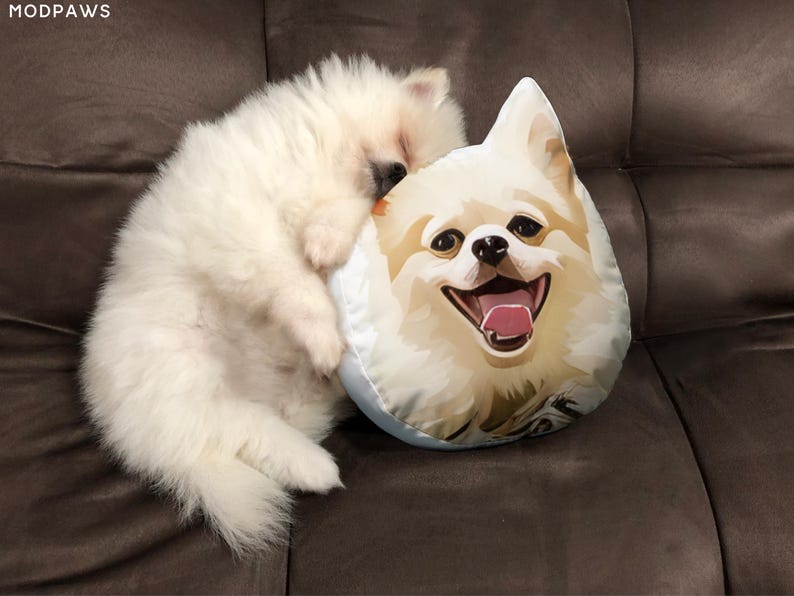 May include: A fluffy white Pomeranian dog cuddles next to a dog-shaped pillow with a smiling face. The pillow has a light tan and white color scheme with a pink tongue. The dog is resting on a brown sofa.