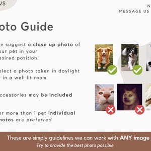 May include: A photo guide with tips for taking good photos of pets for custom pet portraits. The guide suggests taking a close-up photo of the pet in their desired position, in daylight or a well-lit room. Accessories may be included. For multiple pets, individual photos are preferred. The guide also includes examples of good and bad photos.
