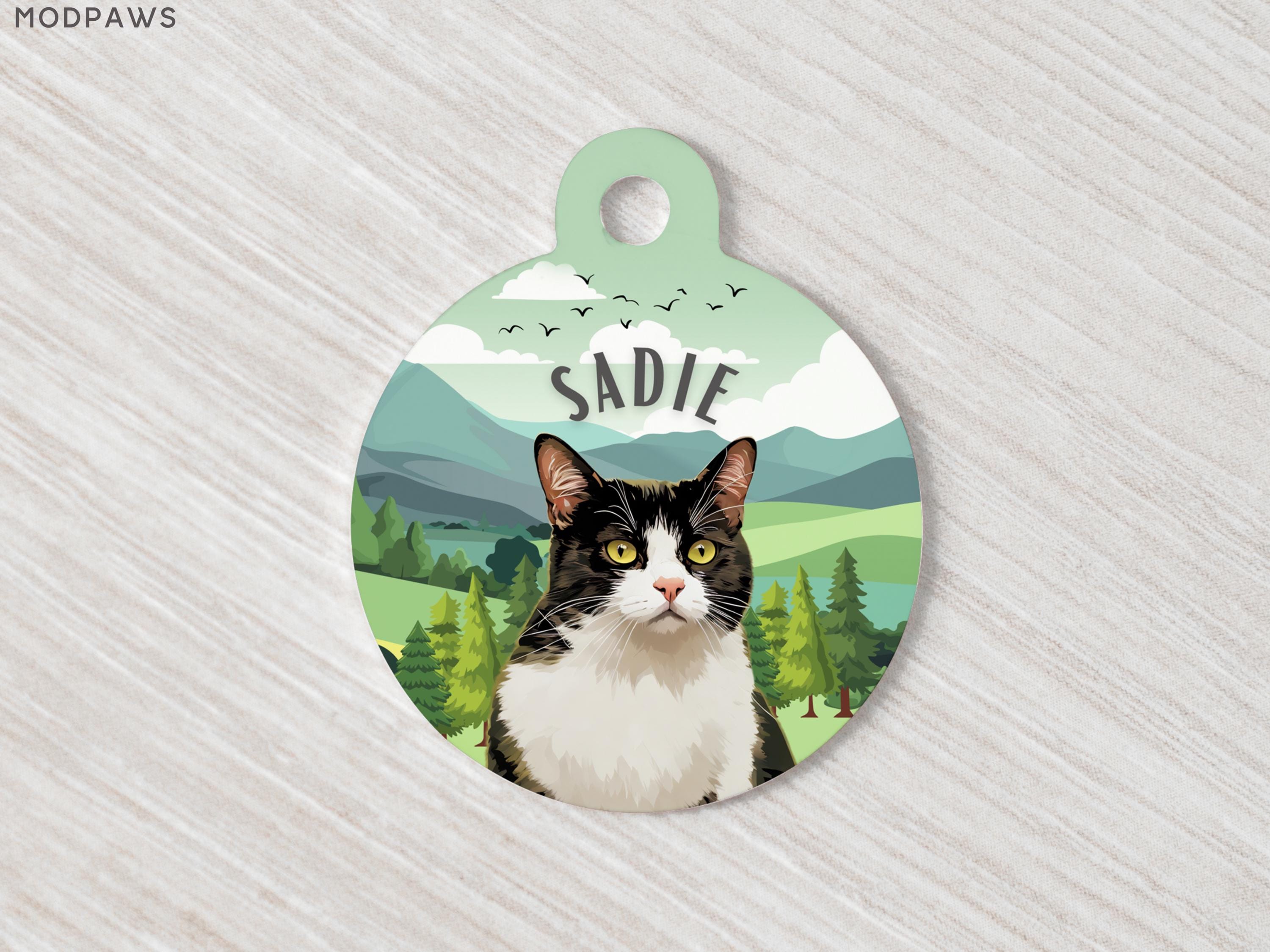 Cat Tag Pet Tags Free Shipping Custom Cat Tags For Collar Using