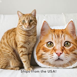 Personalized Pet Pillow Using Pet Photo Custom Shaped Cat Dog Pillow Pet Lover Gift, Dog Pillow, Pet Portrait Pillow, Pet Memorial Gift image 1
