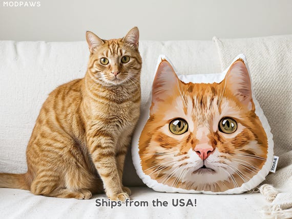 Personalized Pet Pillow Using Pet Photo Custom Shaped Cat Dog Pillow Pet Lover Gift, Dog Pillow, Pet Portrait Pillow, Pet Memorial Gift
