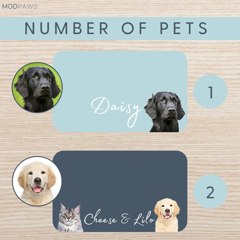Personalized Dog Mats Using Pet Photo Name Personalized Dog Etsy