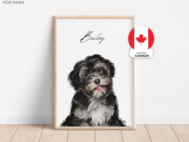 May include: A framed watercolor print of a black and white dog with its tongue sticking out. The dog's name, "Bailey," is written above in cursive. A Canadian flag sticker is on the right side of the frame.