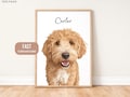 Custom Pet Portraits Using Pet Photo Personalized Digital Dog Portraits Cat Portraits Custom Dog Portraits Custom Pet Art Pet Drawing Poster