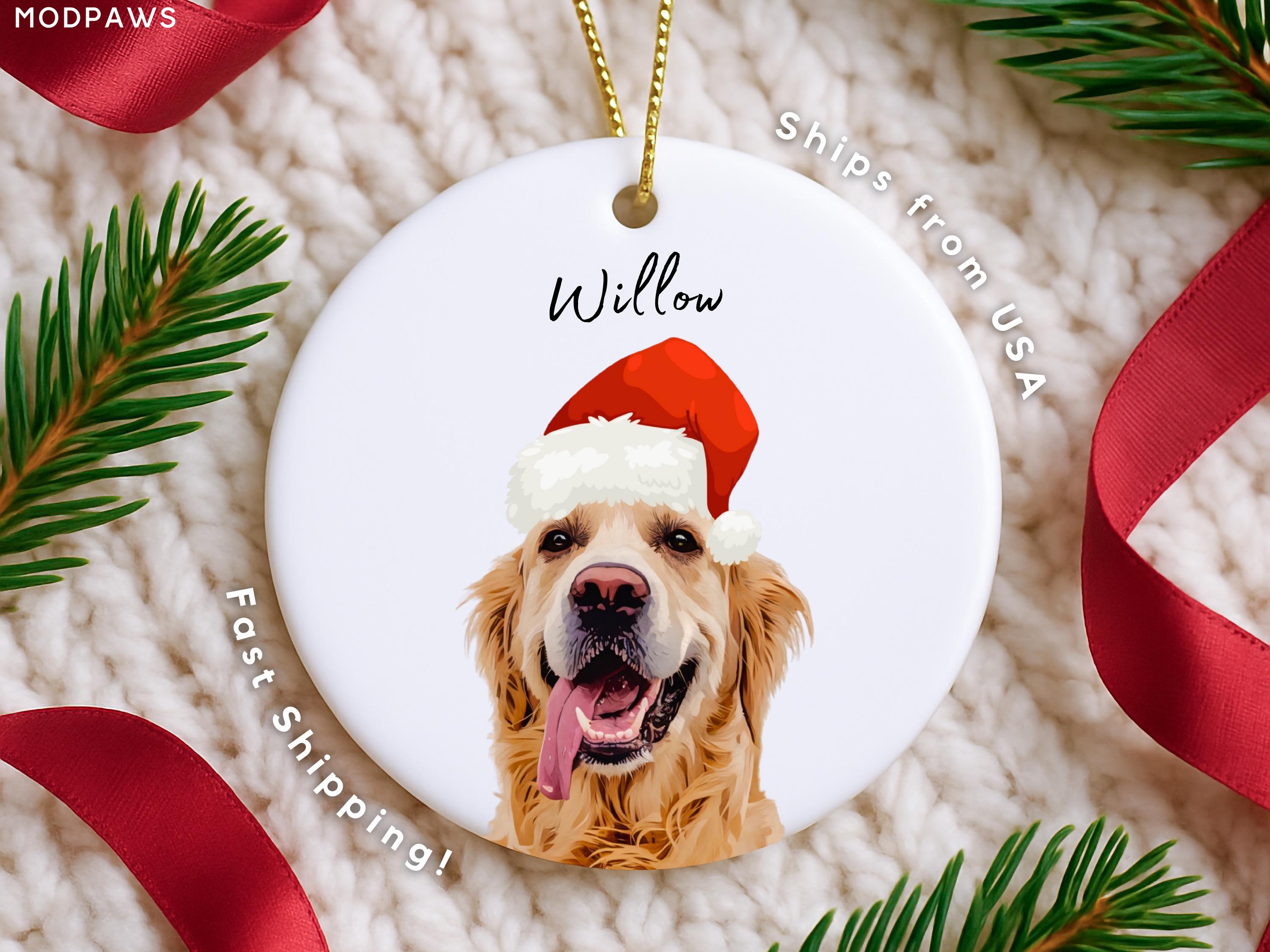 Personalized Pet Ornament Using Pet's Photo + Name - Custom Cat ...