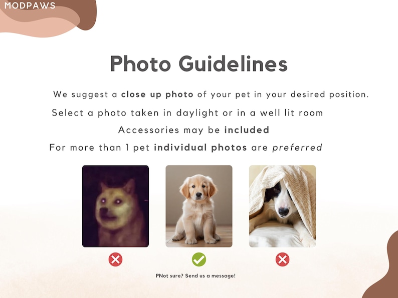 May include: Graphic with the text "Photo Guidelines" and examples of pet photos. The text advises a close-up photo of a pet in daylight or a well-lit room. Accessories are allowed, and individual photos are preferred.
