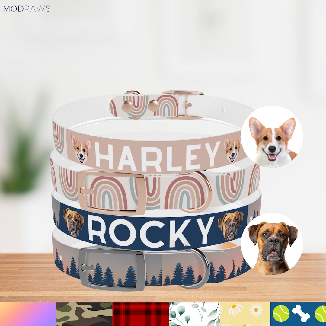 Waterproof Personalized Dog Collar Using Pet Photo Name Heavy Duty Custom Dog Collar Custom
