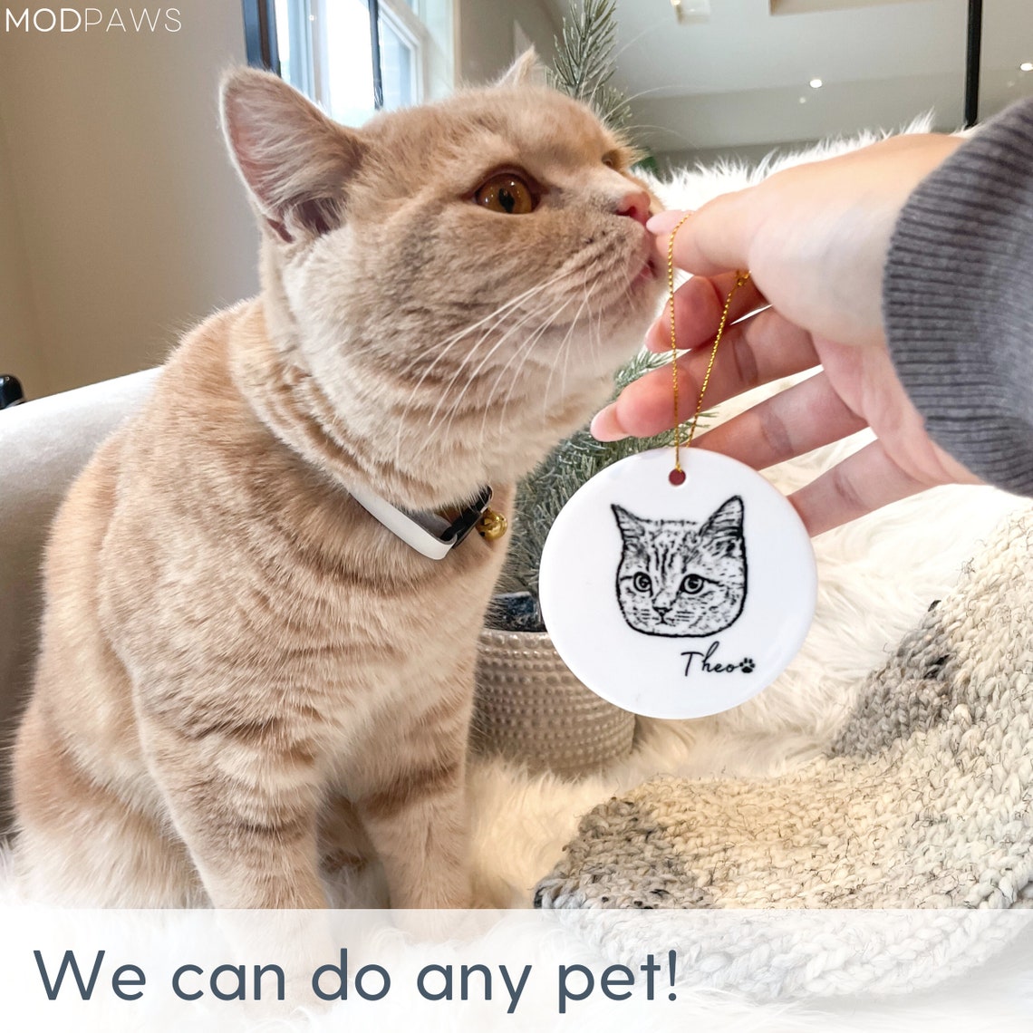 Personalized Pet Ornament Using Pet's Photo + Name - Custom Ornament ...