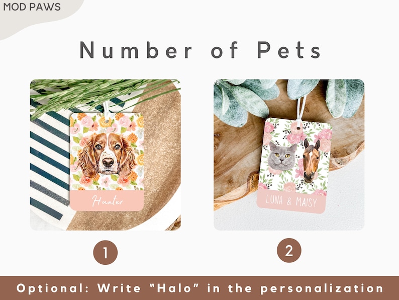Peut inclure: Deux exemples d'&eacute;tiquettes pour animaux de compagnie personnalis&eacute;es avec des motifs floraux. La premi&egrave;re &eacute;tiquette pr&eacute;sente un chien brun et blanc avec le nom "Hunter" imprim&eacute; en dessous. La deuxi&egrave;me &eacute;tiquette pr&eacute;sente un chat et un cheval avec les noms "Luna & Maisy" imprim&eacute;s en dessous.