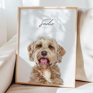 Può includere: Un ritratto incorniciato di un cane soffice, marrone chiaro, con la lingua di fuori. Il nome del cane, "Sadie", è scritto in corsivo sopra la sua testa. La cornice è di colore legno chiaro e lo sfondo è bianco tenue.