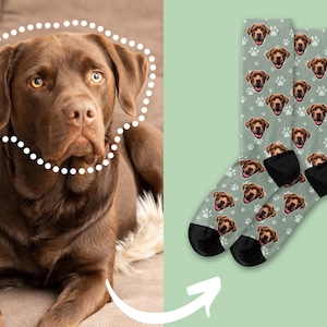 May include: A pair of crew socks in a muted sage green color featuring a repeating pattern of a brown dog's face and white paw prints. The socks have black heels and toes, and the design is based on the chocolate Labrador shown in the image.