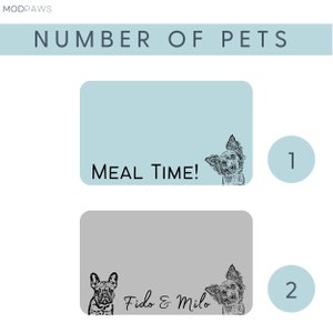 May include: A graphic with the text "NUMBER OF PETS" at the top. Two rectangular boxes are below, one light blue and one grey. Each box has a dog illustration and text. The light blue box says "MEAL TIME!" and the grey box says "Fido & Milo."