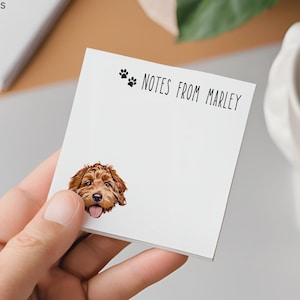 May include: A square white notepad featuring the black text "NOTES FROM MARLEY" at the top, accompanied by two small black paw print icons. A detailed, colourful illustration of a brown curly-haired dog face is positioned in the lower left corner.