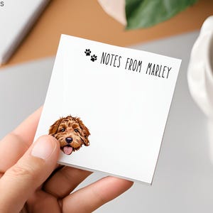 Post-it personalizzati con foto e nome dell&#39;animale domestico, post-it personalizzati con messaggio per cani, post-it personalizzati, post-it personalizzati