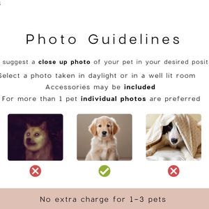 May include: A graphic with the text "Photo Guidelines" and examples of pet photos. The guidelines suggest a close-up photo in daylight or a well-lit room, with accessories allowed. The image includes examples of acceptable and unacceptable photos.
